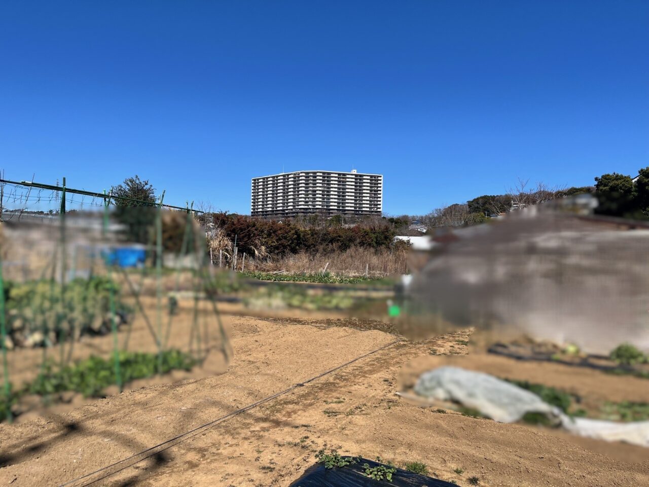 外観
茅ヶ崎の自然豊かな風景の丘陵地に聳え立つオクトス湘南茅ヶ崎